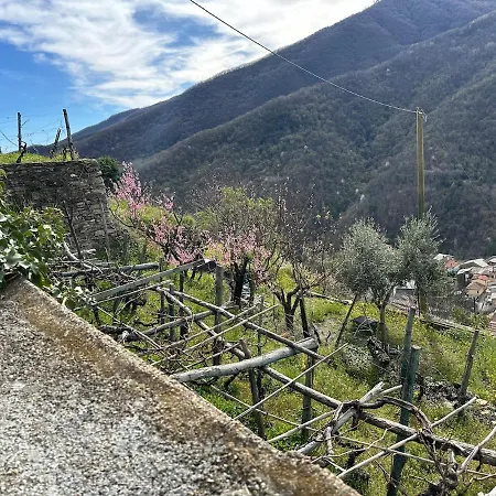 公寓 Rifugio Di Rezzo