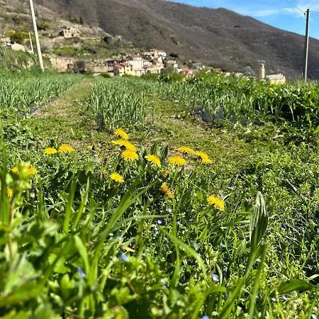Rifugio Di Apartment Rezzo