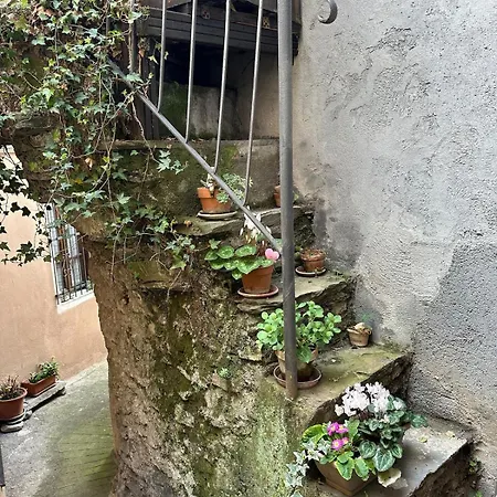 Apartamento Rifugio Di *